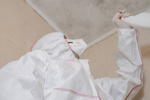 Best Emergency Mold Removal  in Vadnais Heights, MN